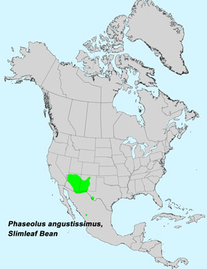 North America species range map for Slimleaf Bean, Phaseolus angustissimus: